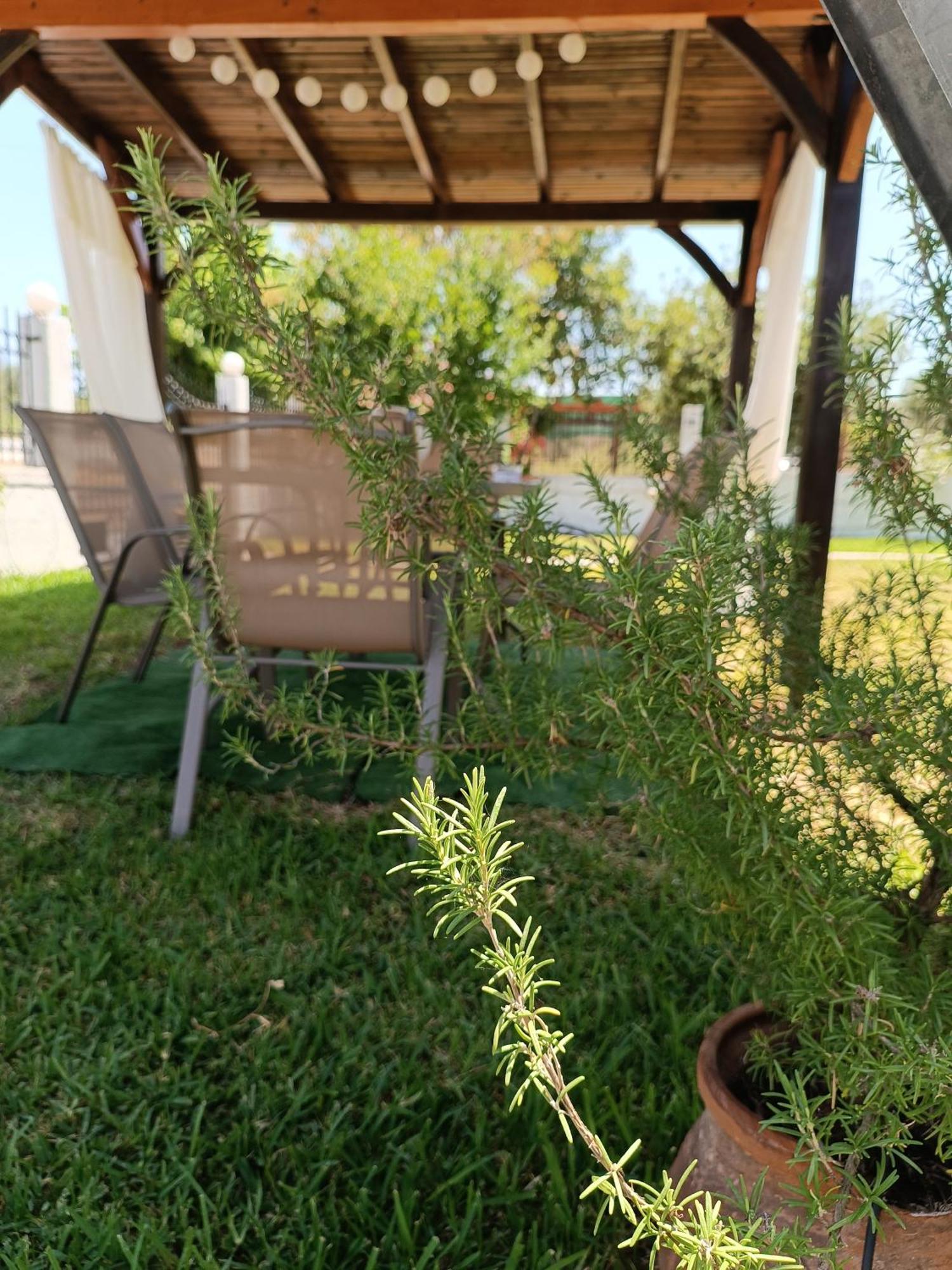 אורמוס פנגיאס Evi'S Home מראה חיצוני תמונה